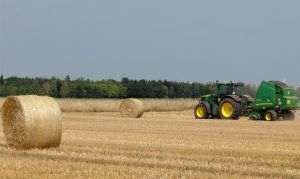EU subsidizes abuses in agriculture: rich farms, crushed workers